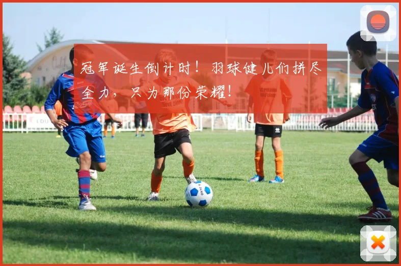 冠军诞生倒计时！羽球健儿们拼尽全力，只为那份荣耀！