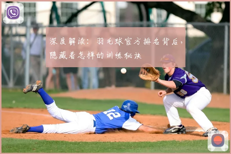 深度解读：羽毛球官方排名背后，隐藏着怎样的训练秘诀